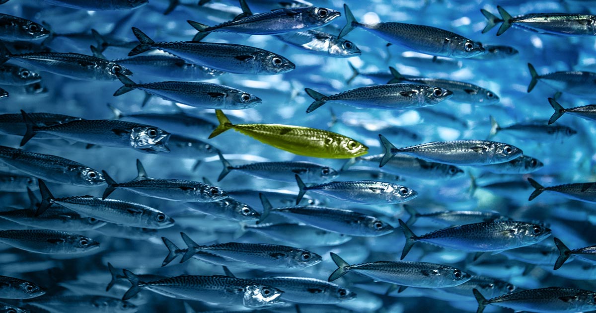 2021 07 23 finance ur biz services